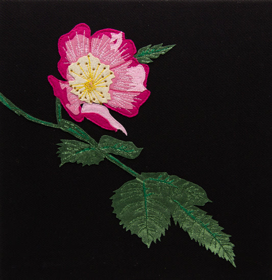 Wild rose fabric collage