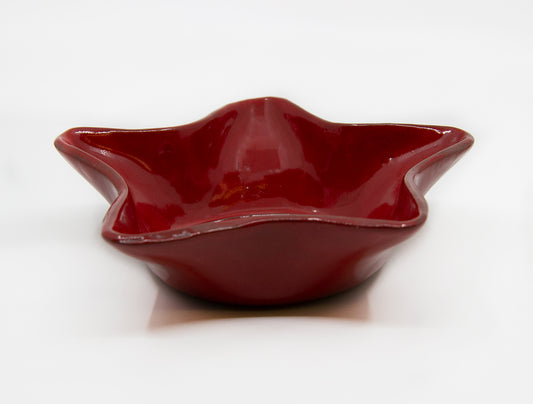 Red star dish