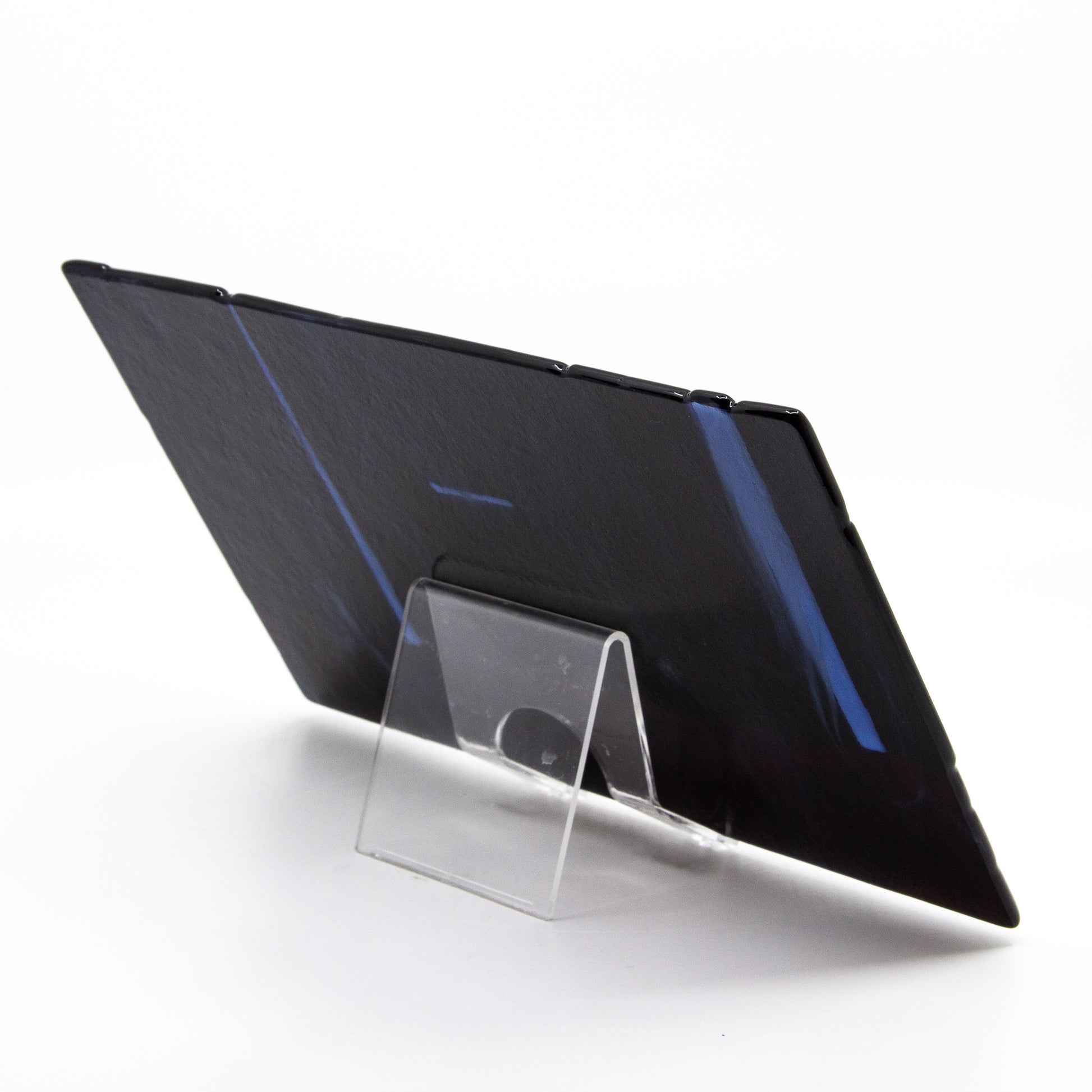 Back of "Chicken Little Was Right"