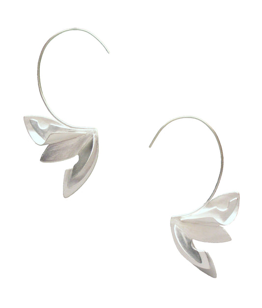 silver earrings