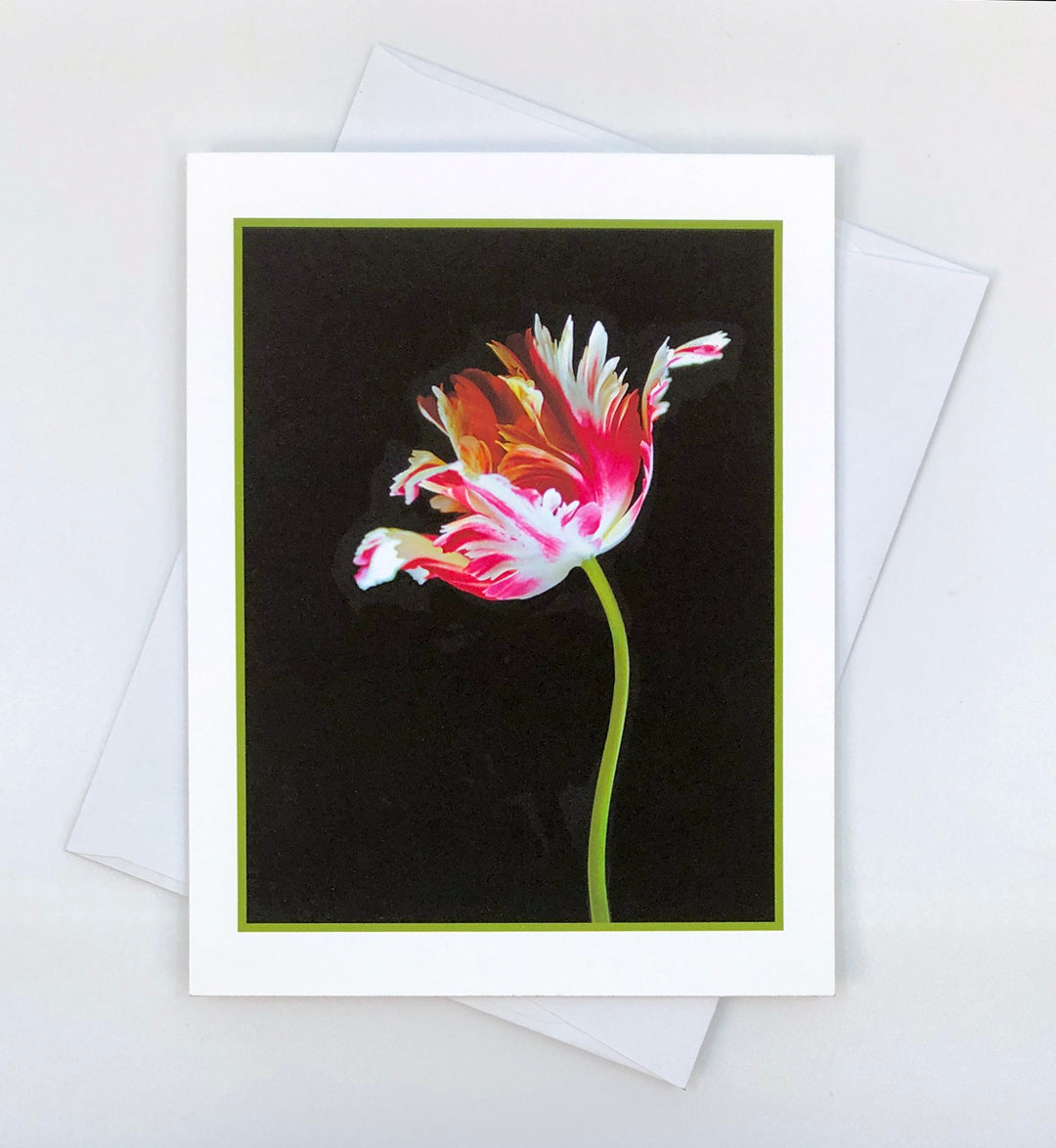 Art Card - Parrot Tulip