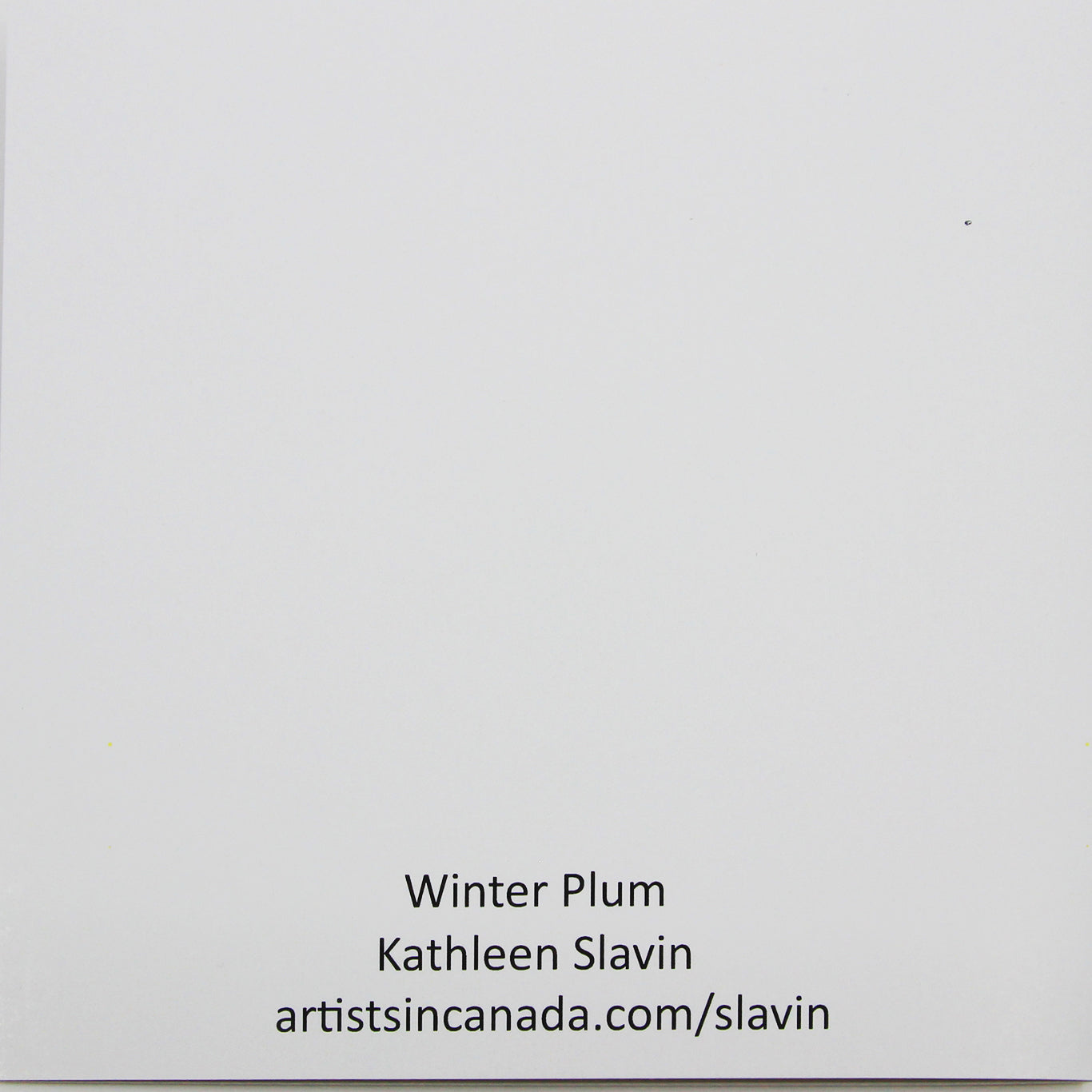 Back of card