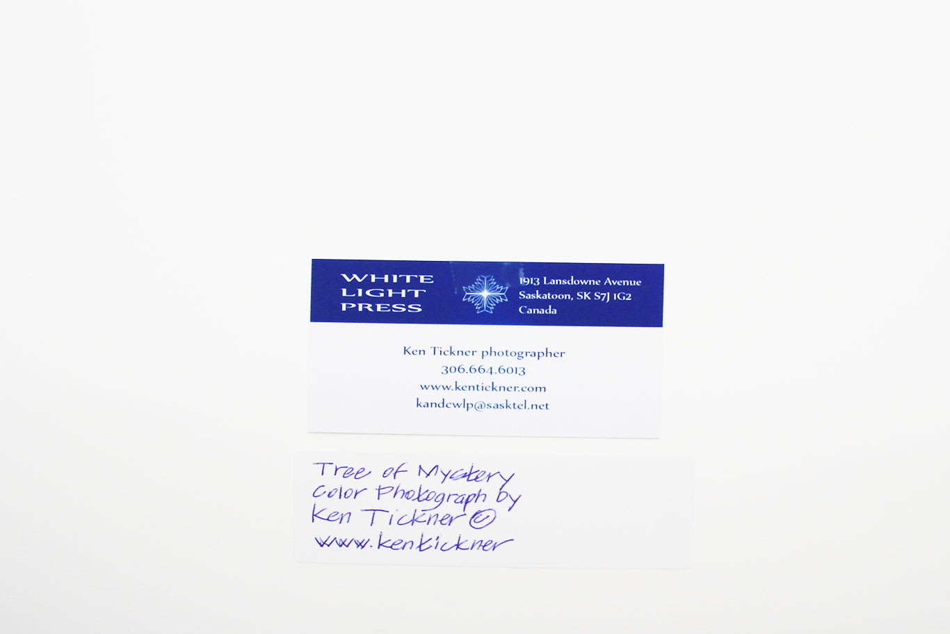 Back of matted photograpoh