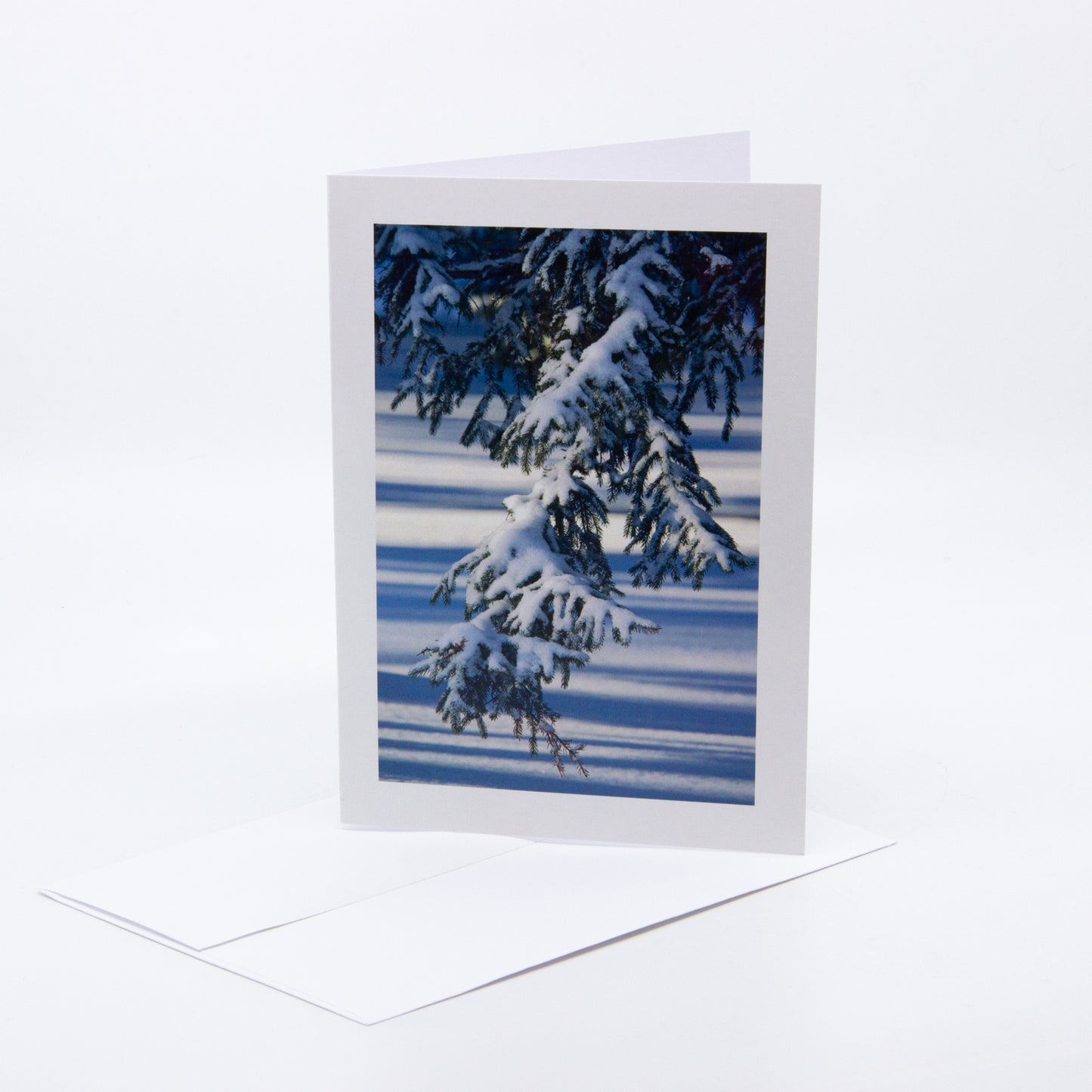 Photograph of snowy pine tree branches