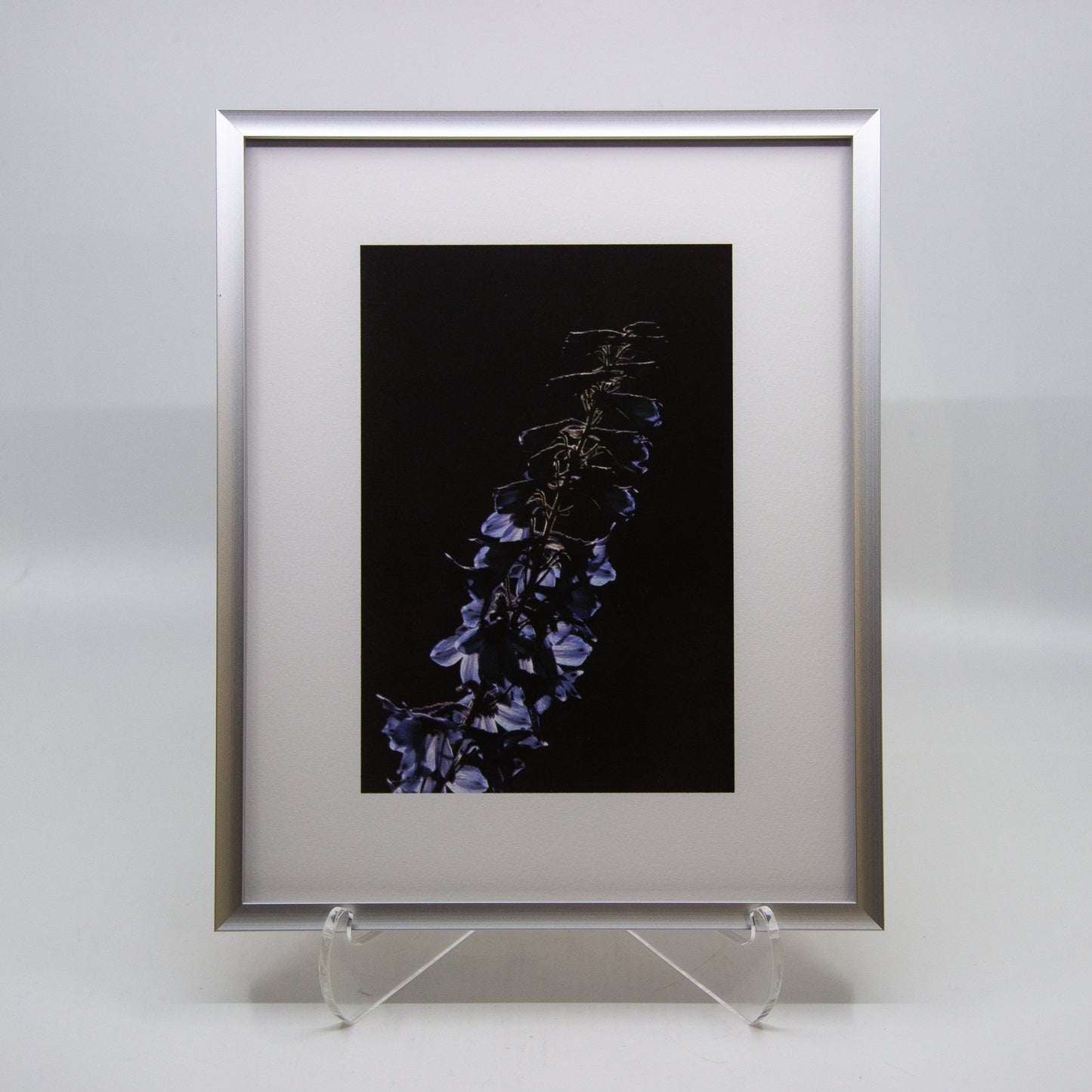 Framed photograph of blue flowers