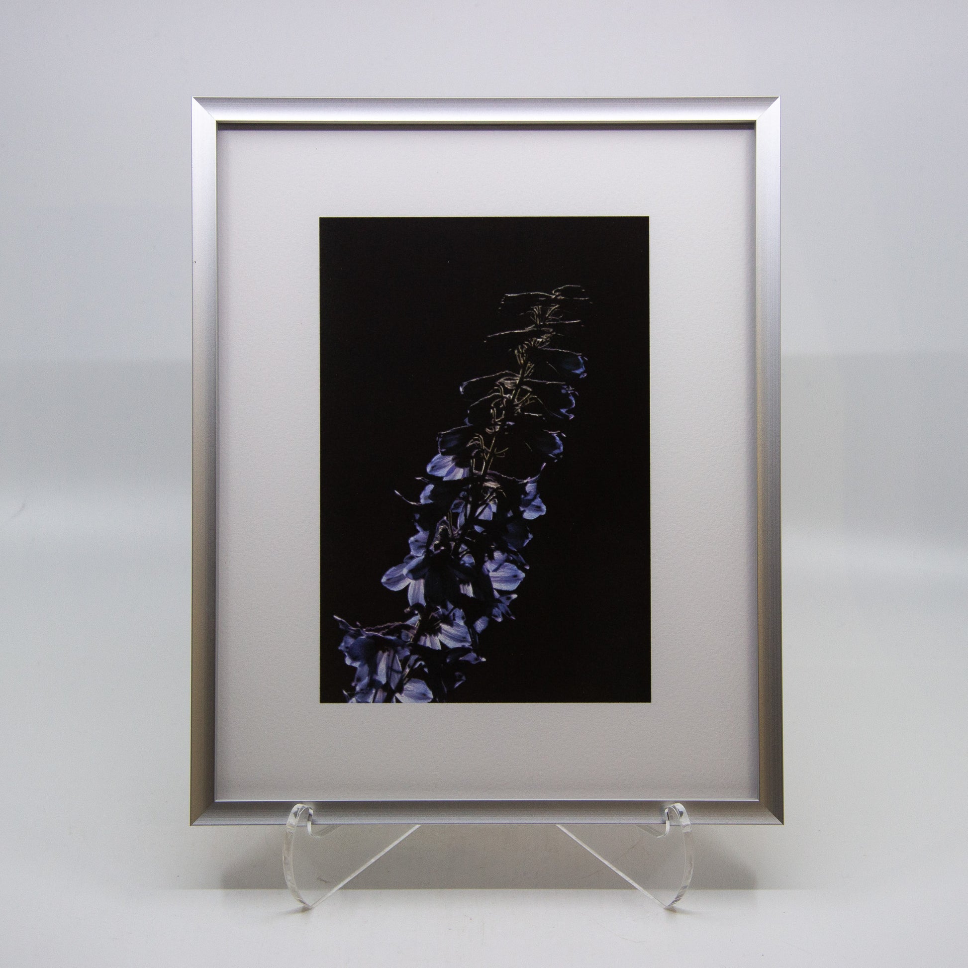 Framed photograph of blue flowers