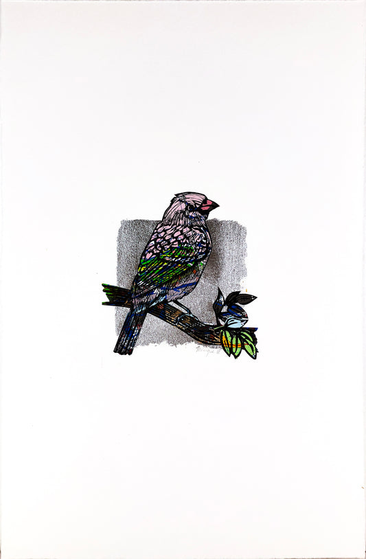 Bird printed on vintage map with silver foil background.