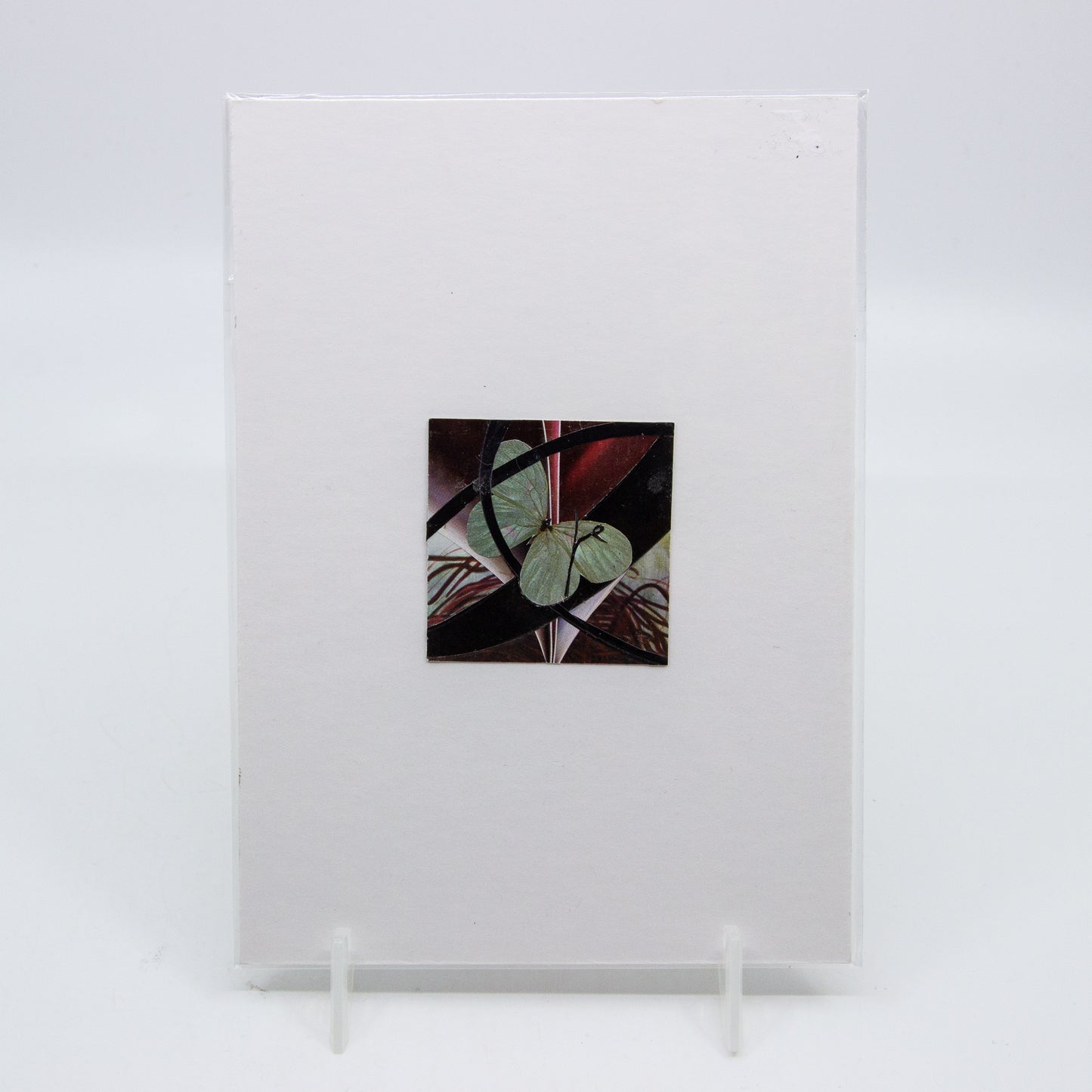 Collage of butterfly