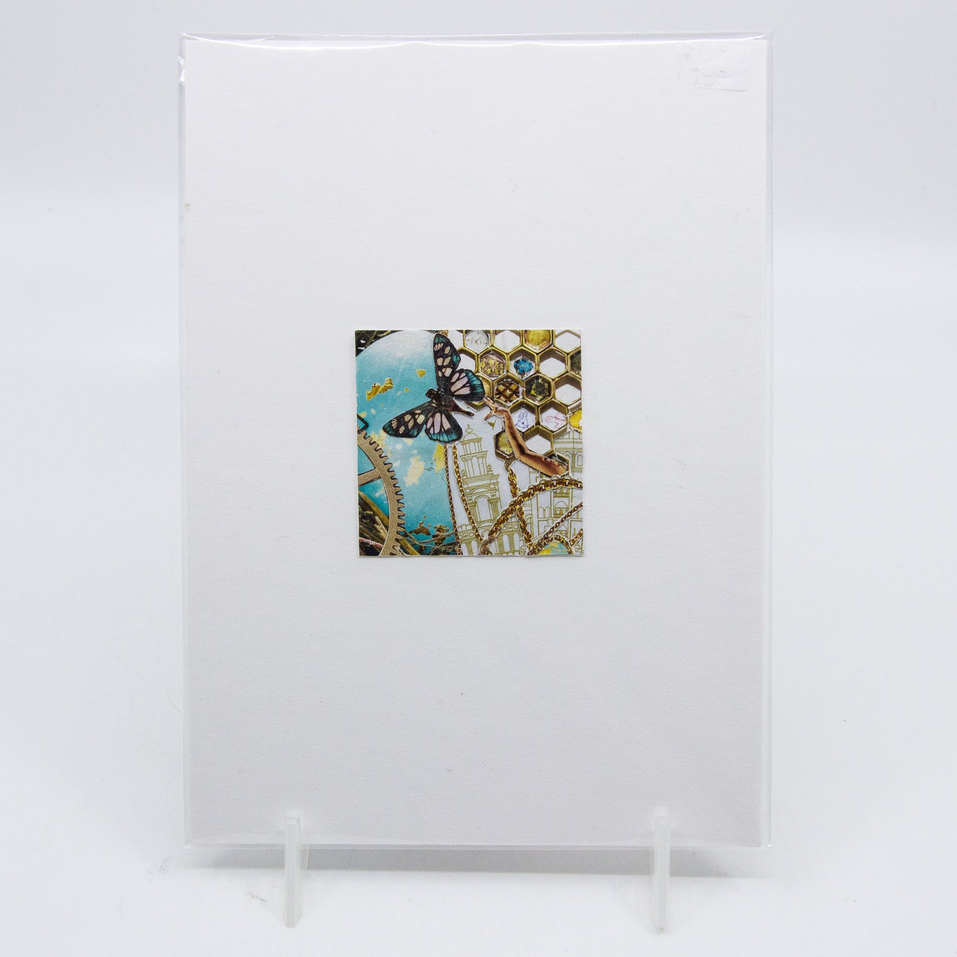 Collage of butterfly and honey comb