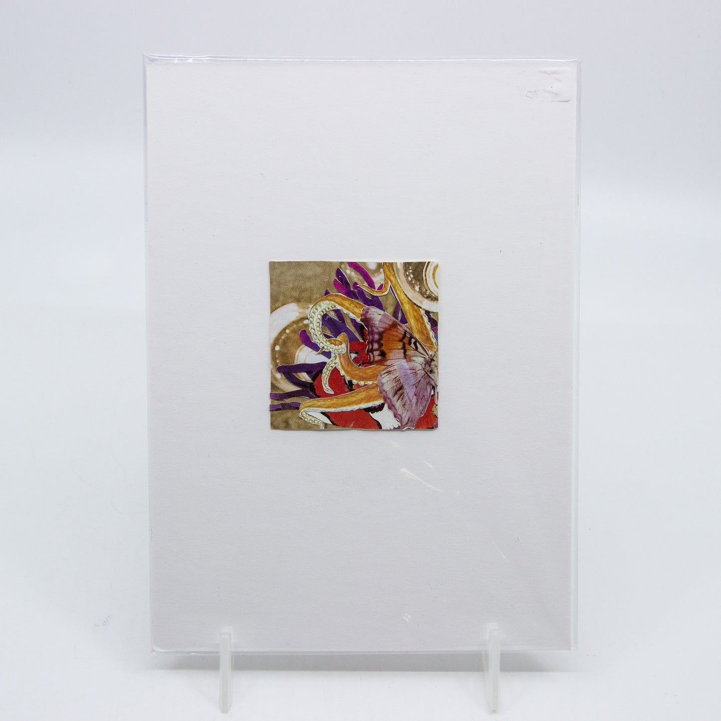 Collage of butterfly and octopus