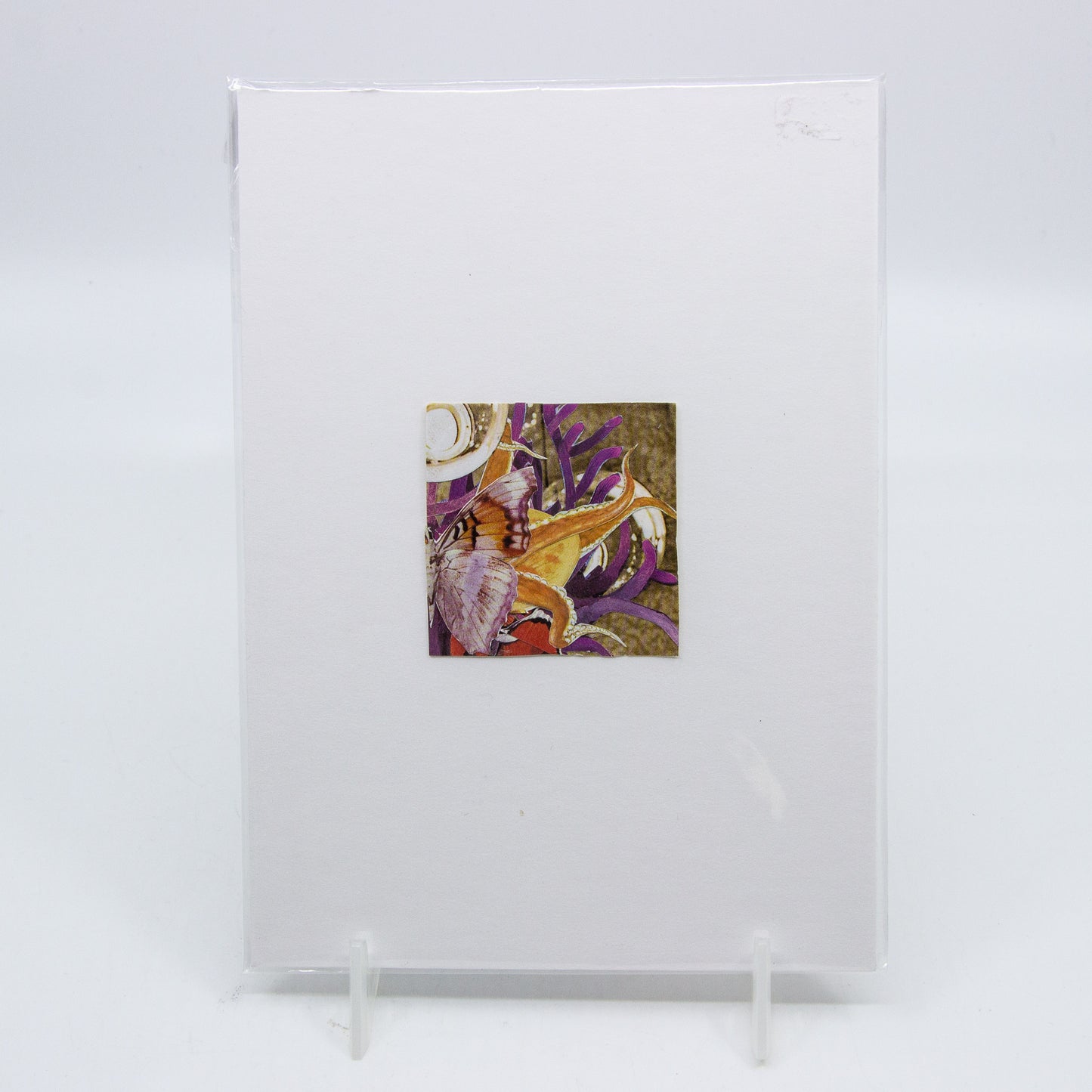 Collage of butterfly and ocean