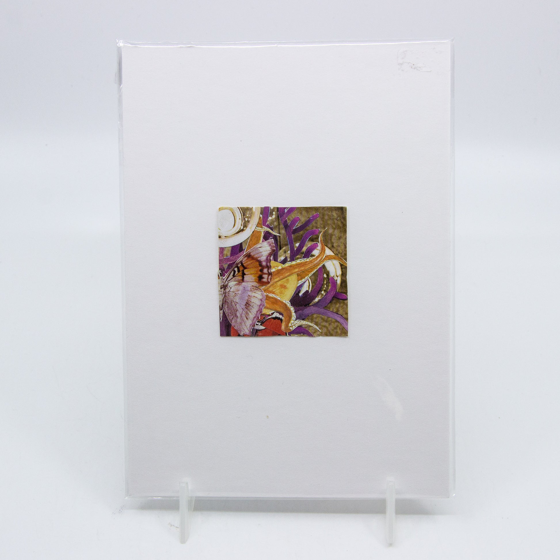 Collage of butterfly and ocean