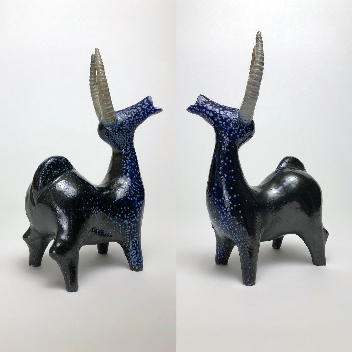 Side views of blue stag with white speckles