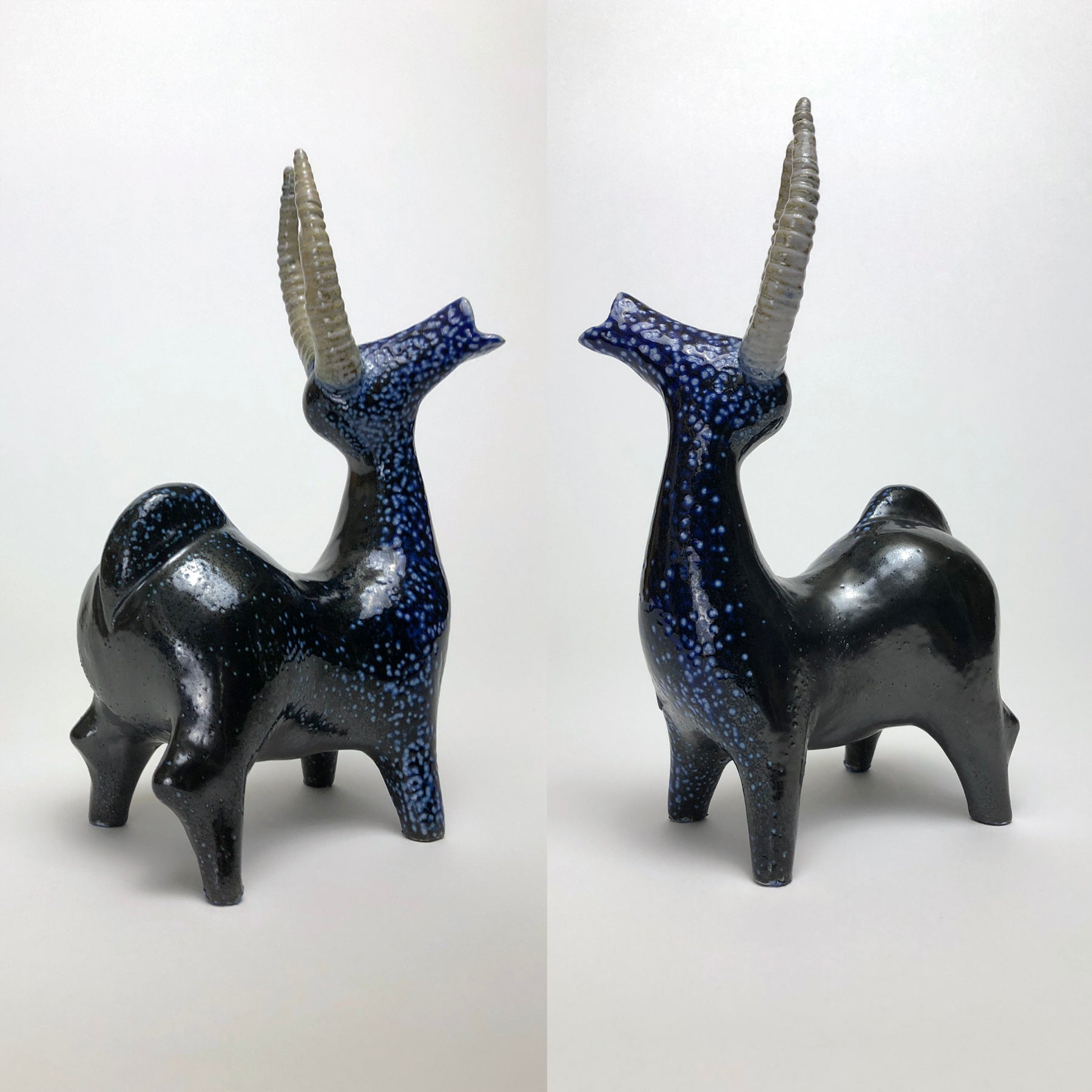 Side views of blue stag with white speckles
