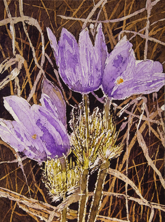 Purple crocuses on brown background
