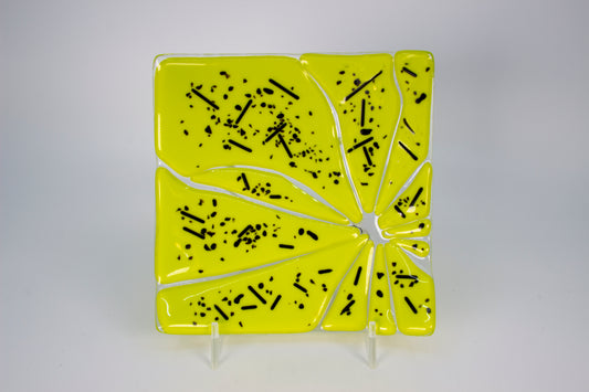 Green & Black Dish