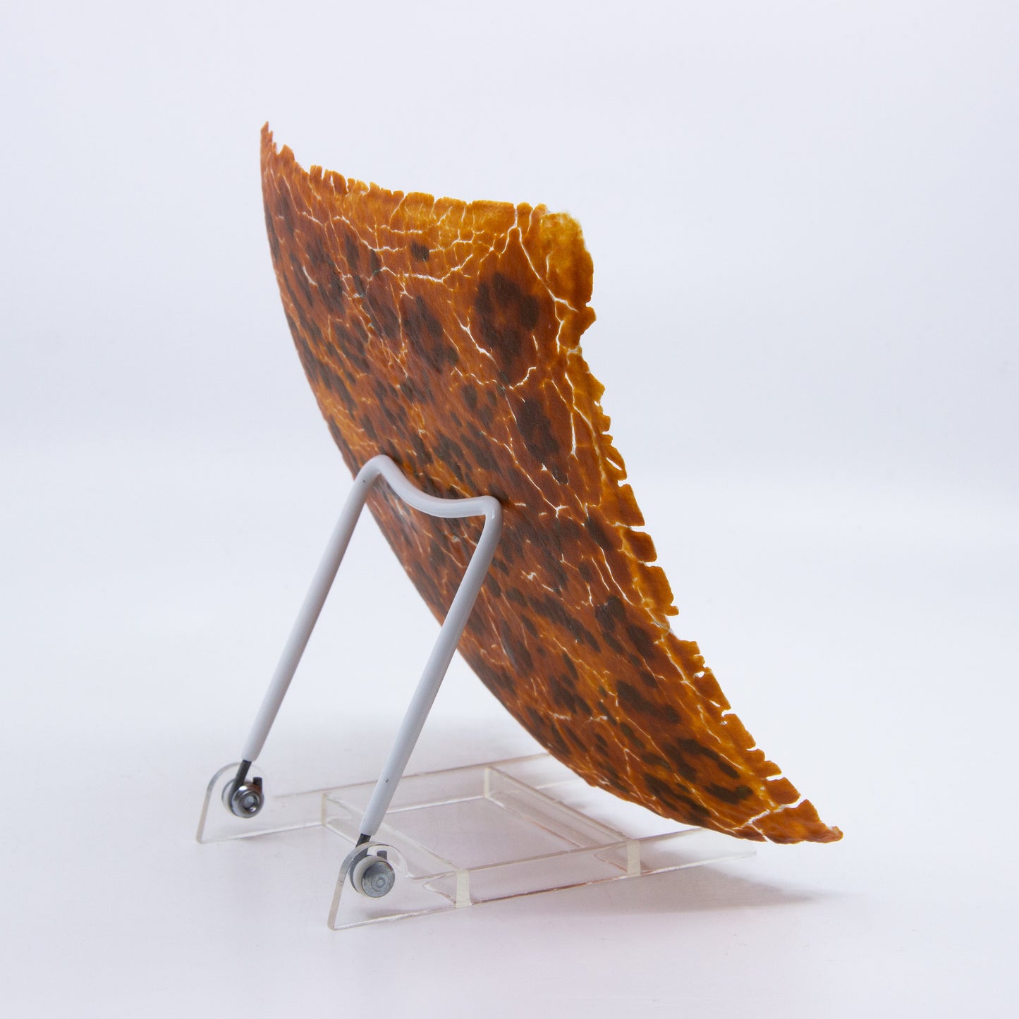 back of crackle plate, orange