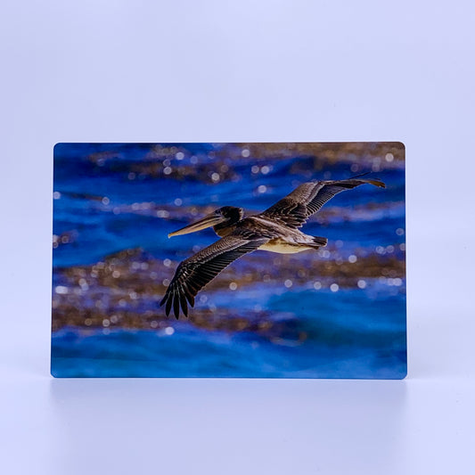 Bird flying over water