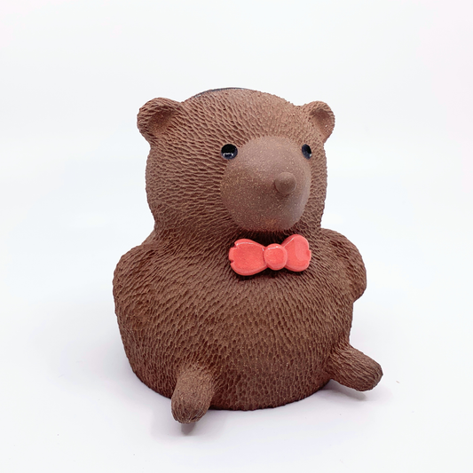Teddy Bear Coin Bank