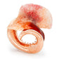 Vallecula Brooch