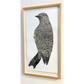 Flicker