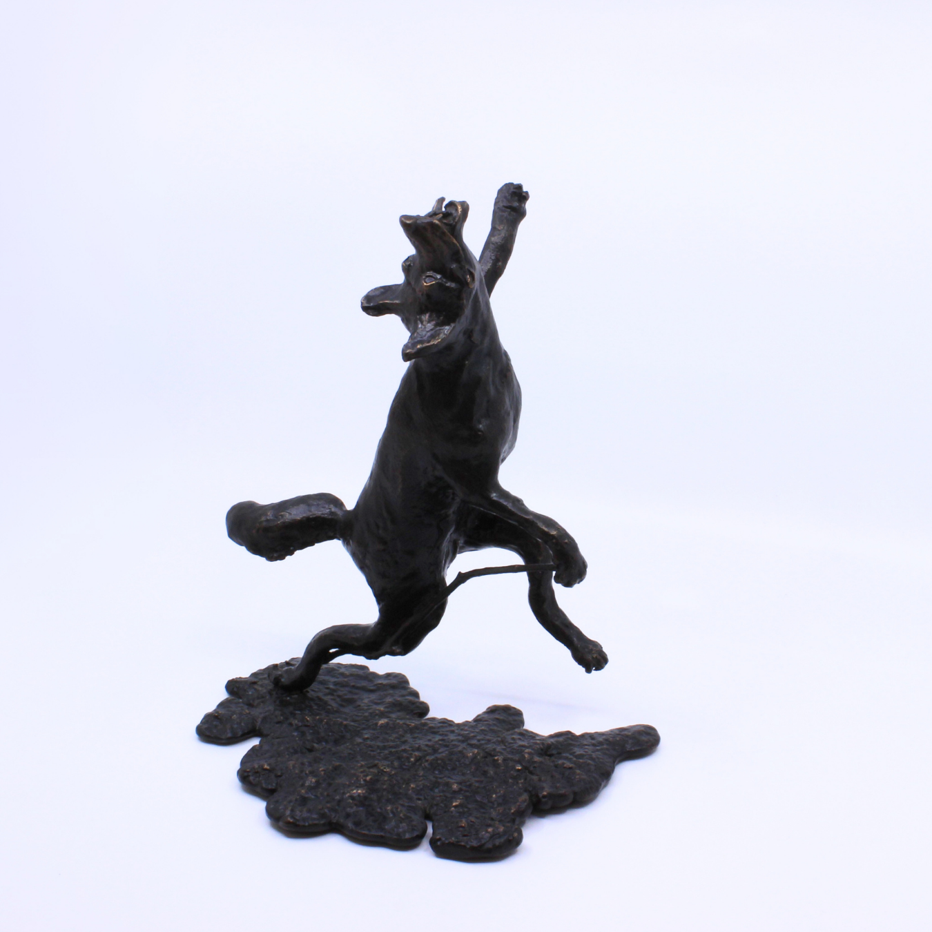 Dancing Coyote - Bronze sculpture