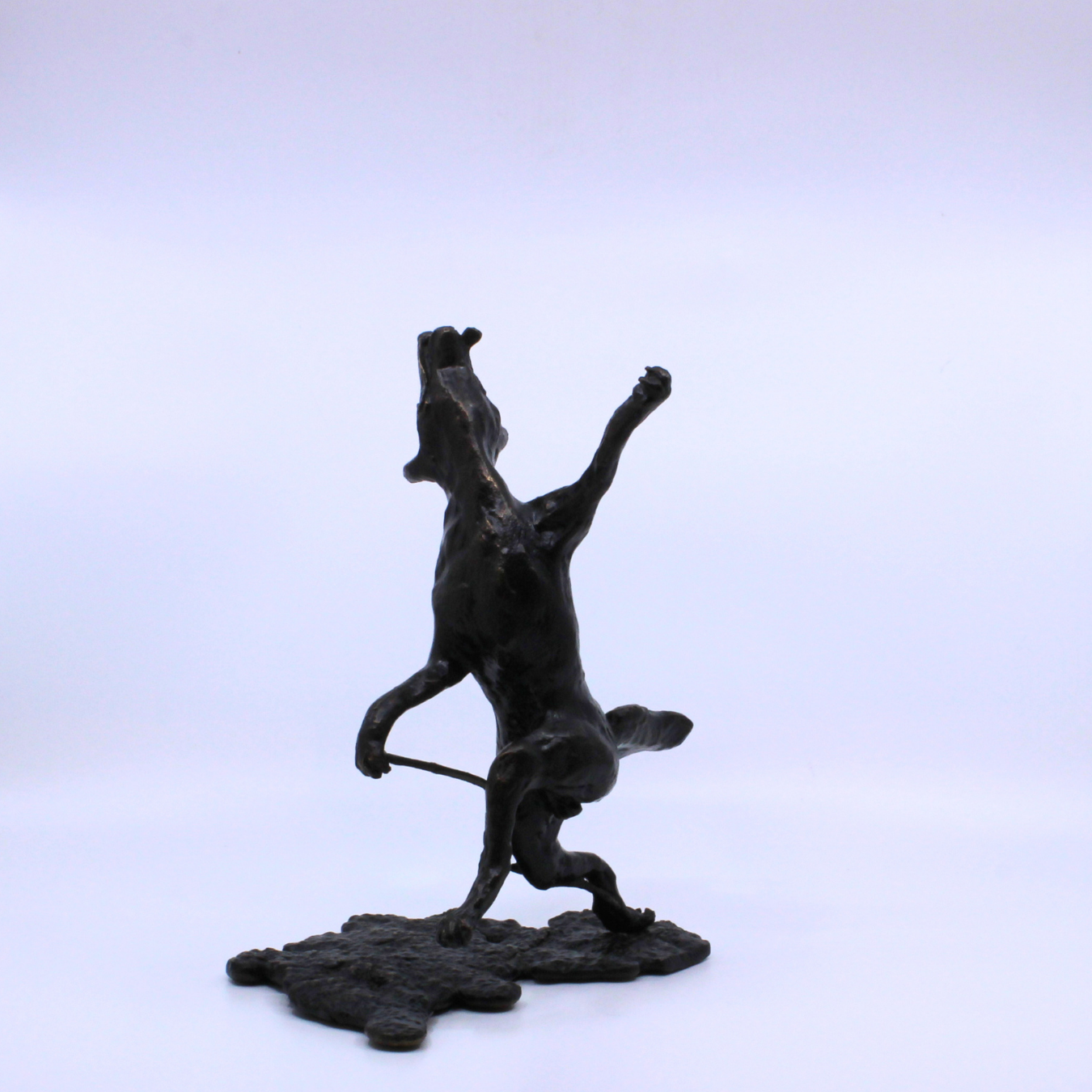 Dancing Coyote - Bronze sculpture