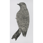 Flicker