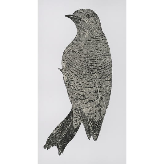 Flicker