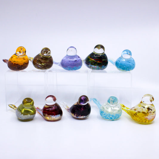 10 glass birds. Glass birds have clear head, coloured bodies. The colour reflects through the clear glass