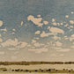 Bison Horizon - Framed Woodcut Print