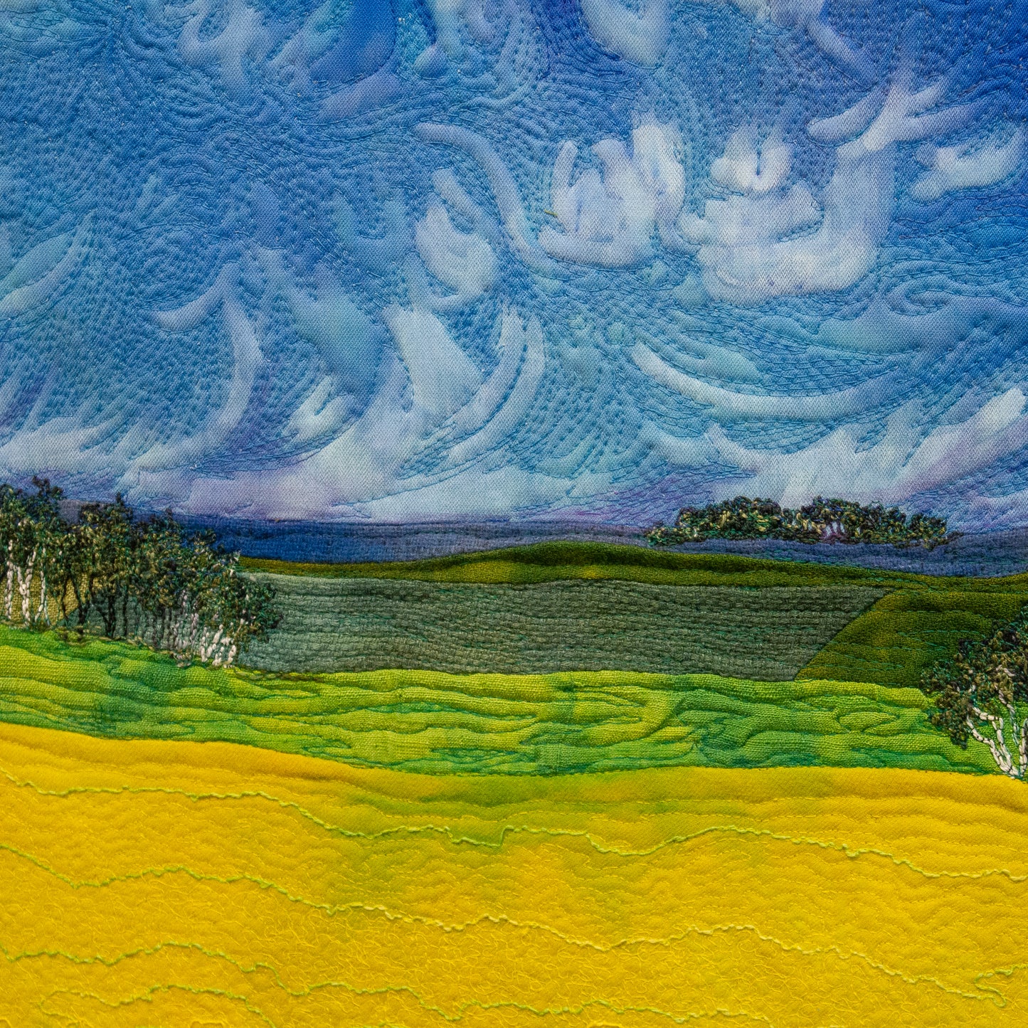 Detail of Storm Passed (fields) 