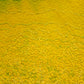 Detail of Storm Passed (canola) 