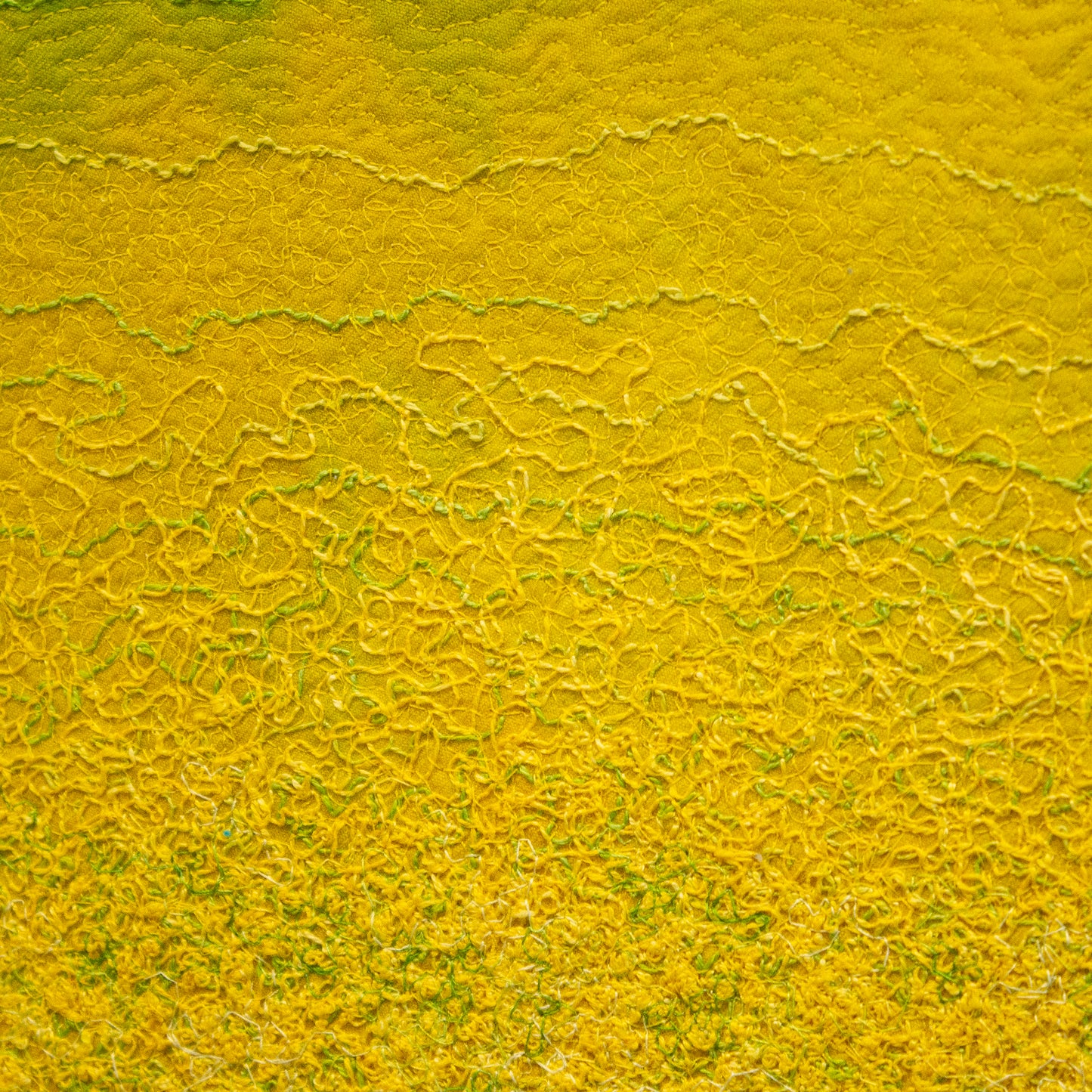 Detail of Storm Passed (canola) 