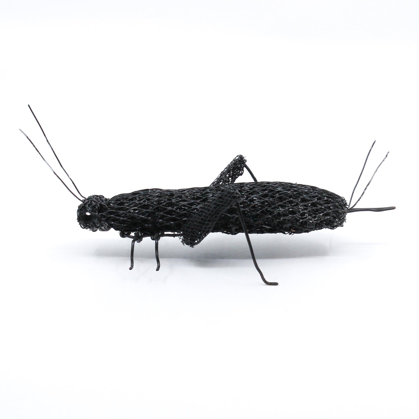Cricket Wire Sculpture