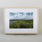 It Rained & Wild Flowers Bloom - Framed Photograph