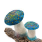 Teal mushrooms on driftwood