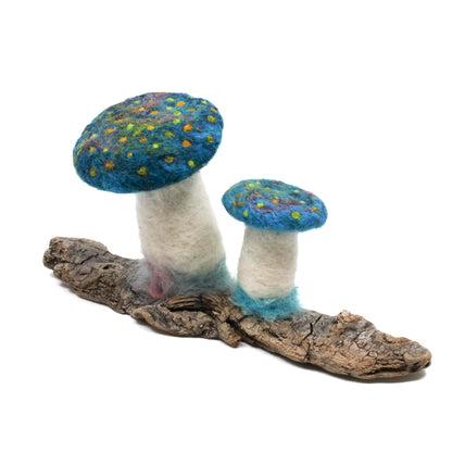 Teal mushrooms on driftwood