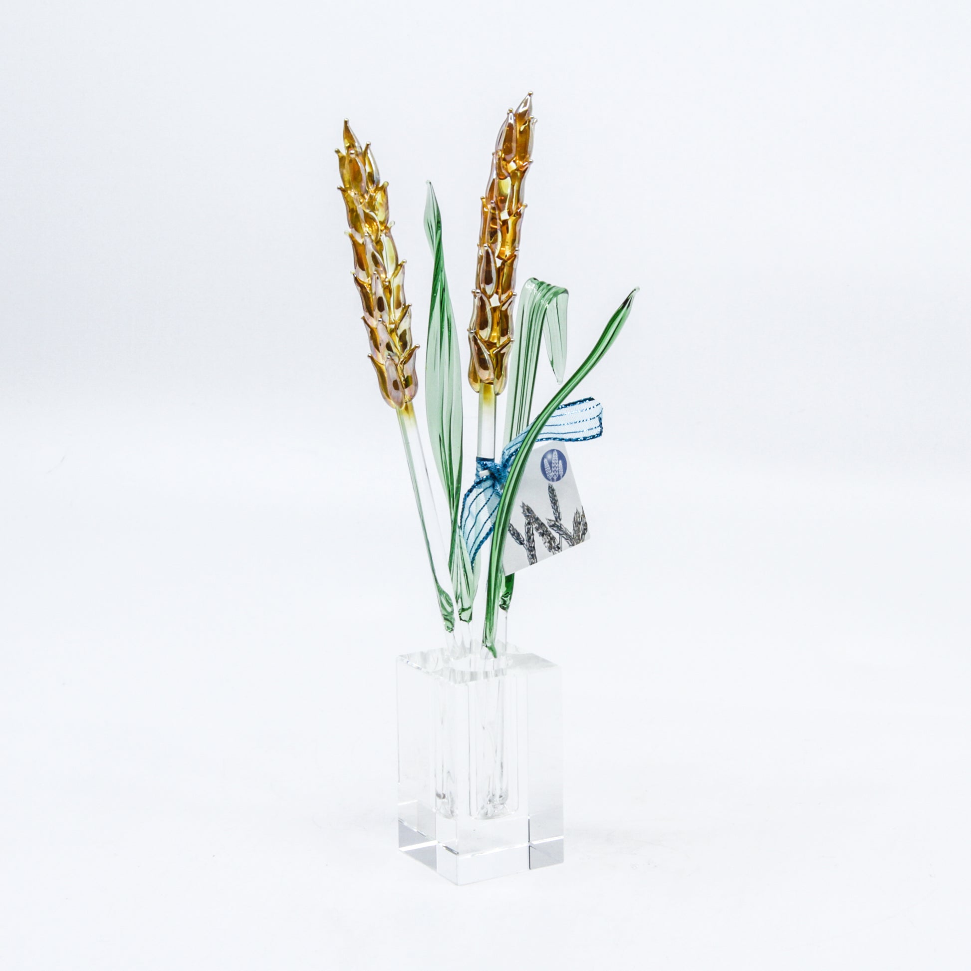 glass wheat and grass