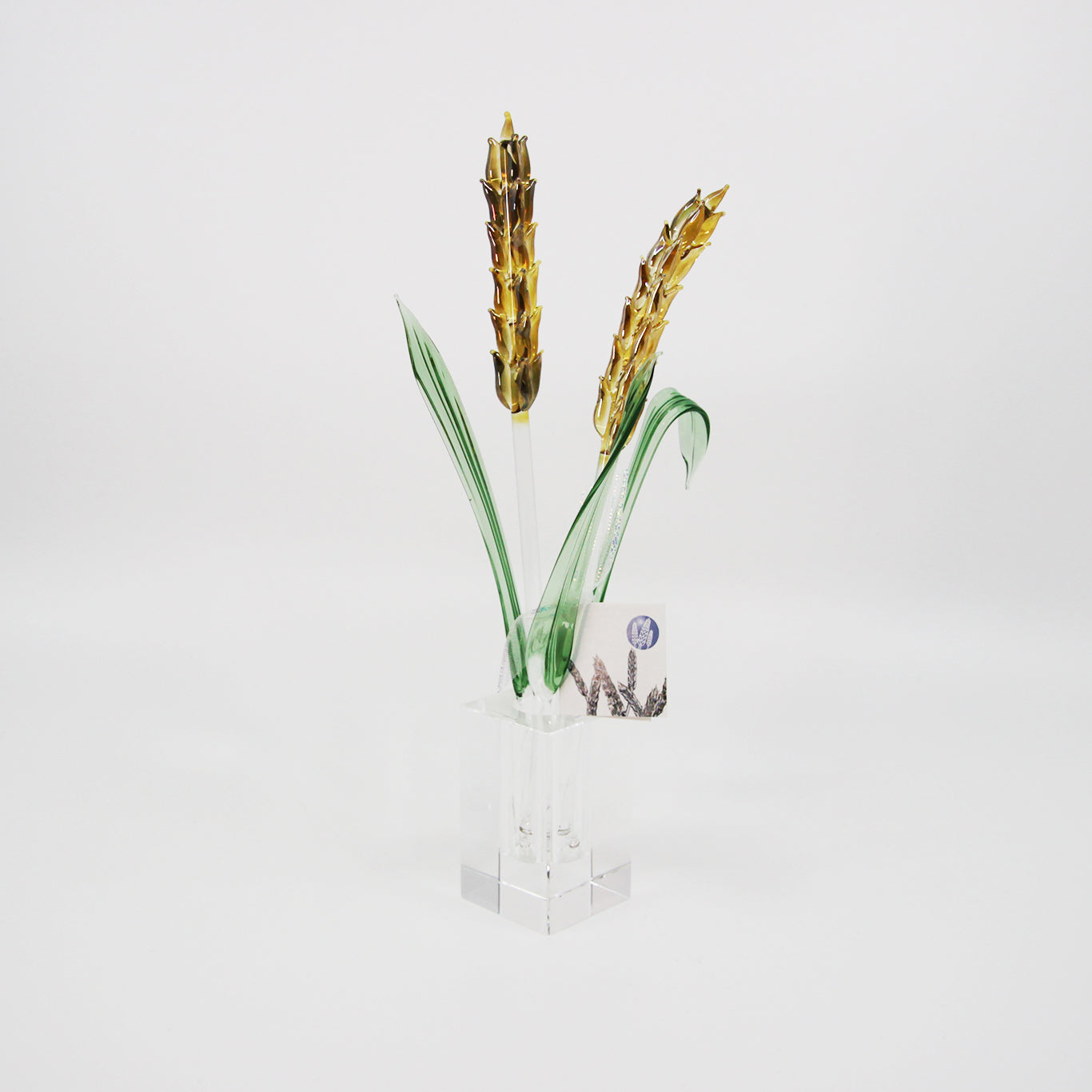 glass wheat and grass