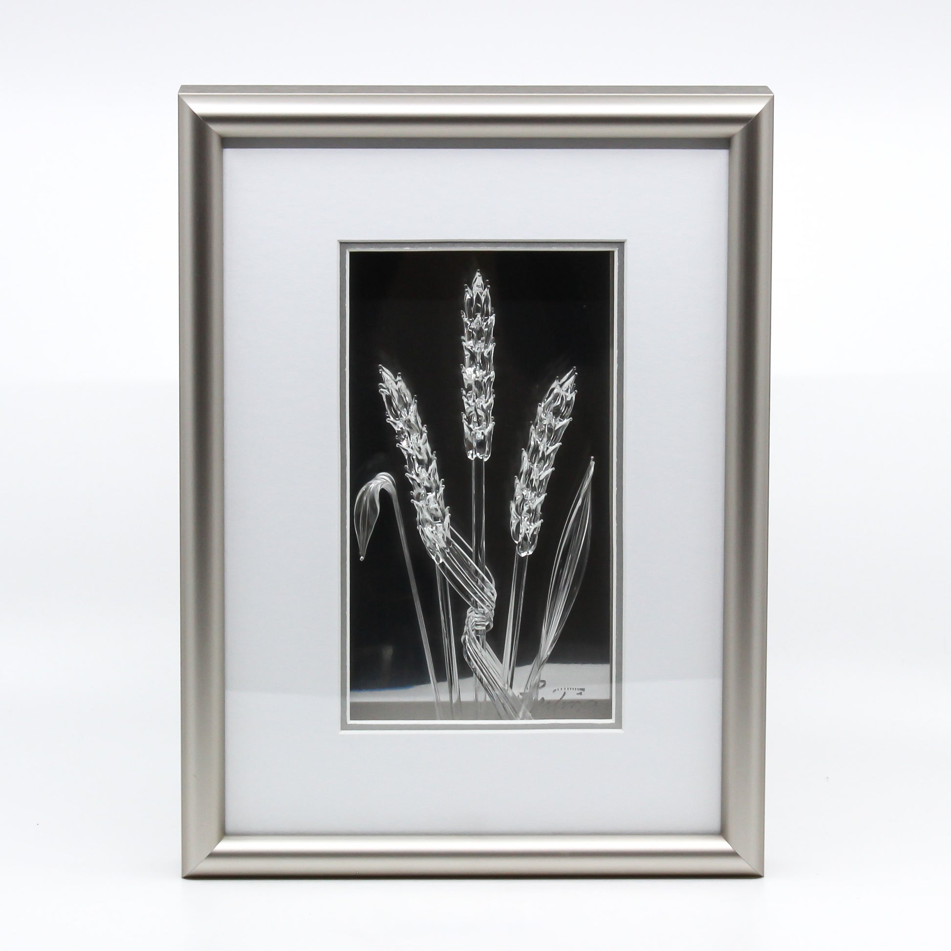 Three clear wheat and three clear leaves in metal grey frame with mirrored background