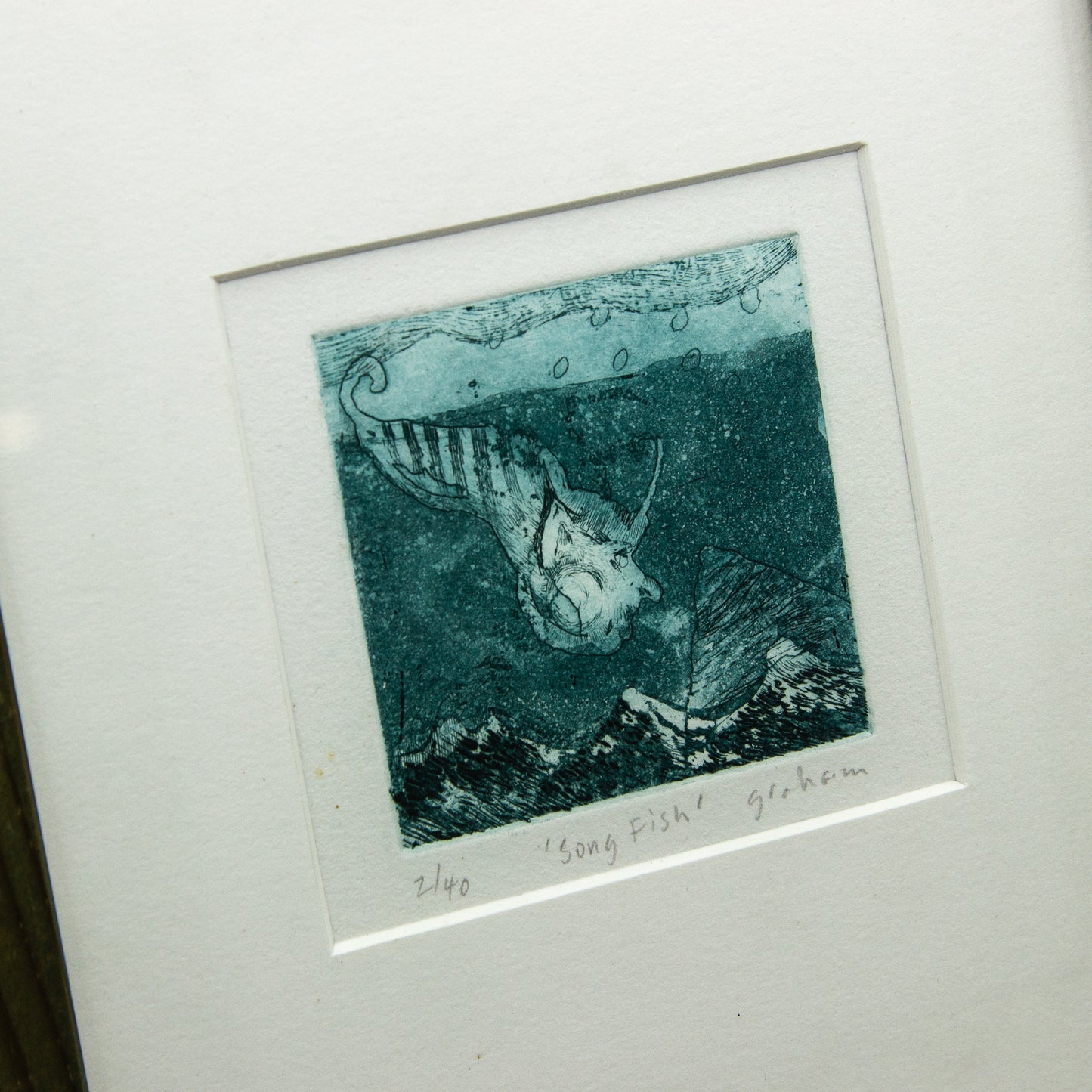 Songfish - Framed etching