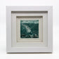 Songfish - Framed etching