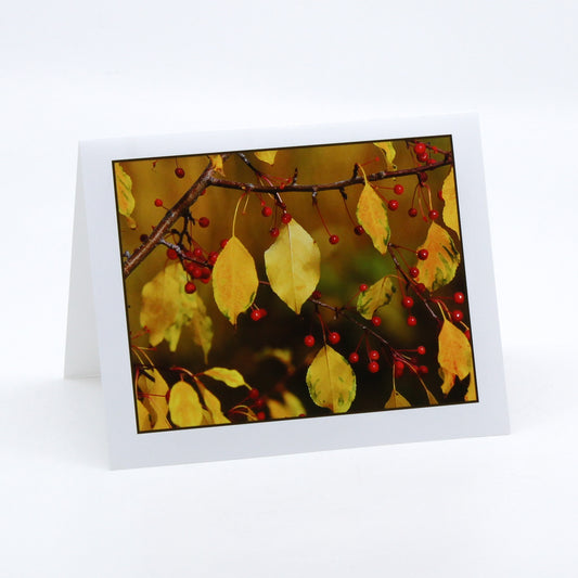 Art Card - Leaves and Berries
