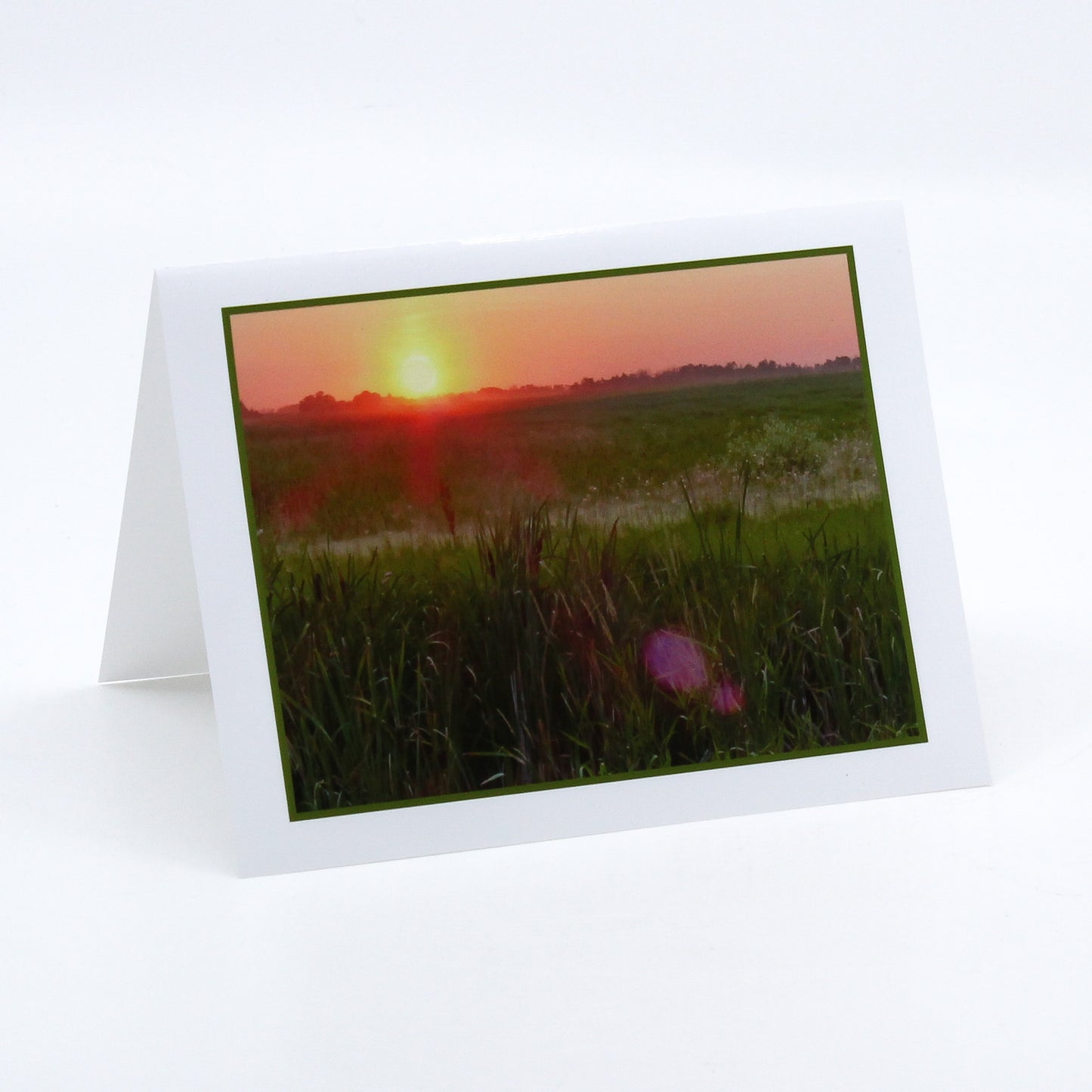 Art Card - Sunset with Thistles