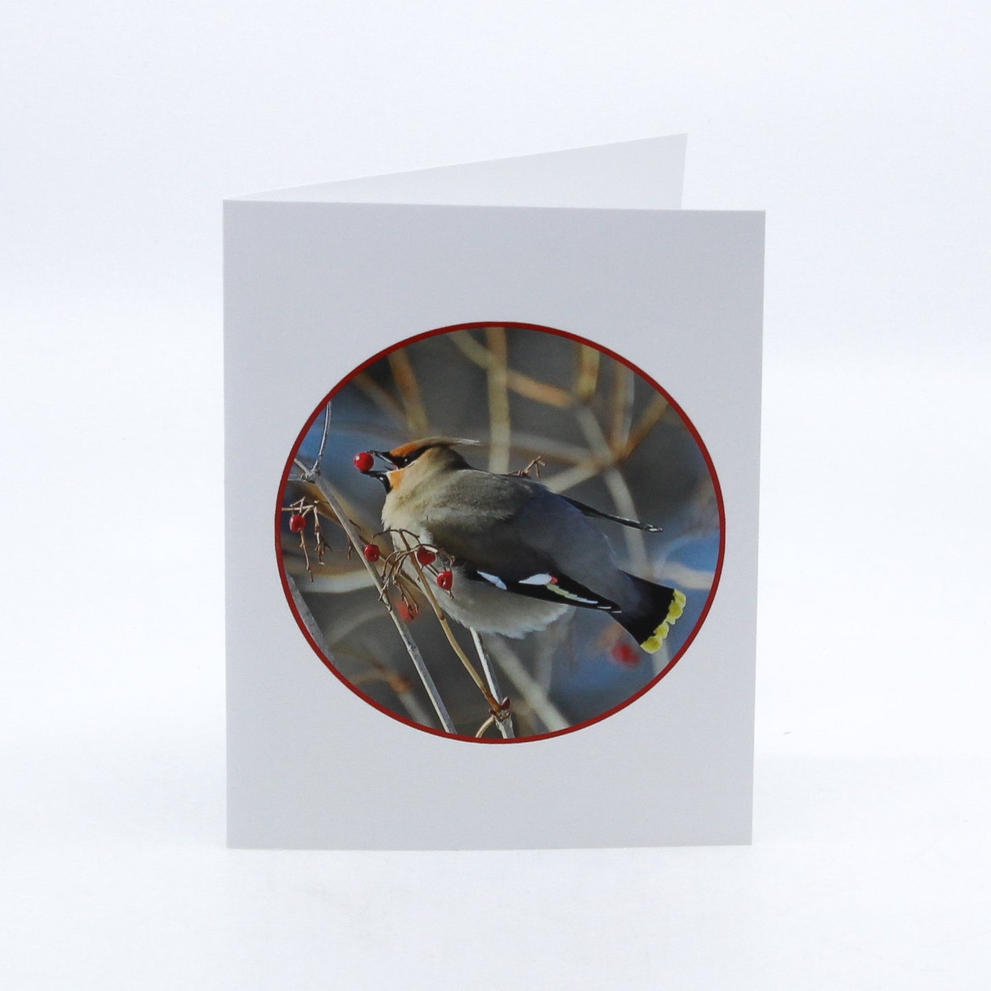 Round Bird in Tree - Art Card