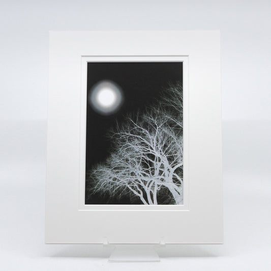 Matted photograph of black and white photo of sun and trees