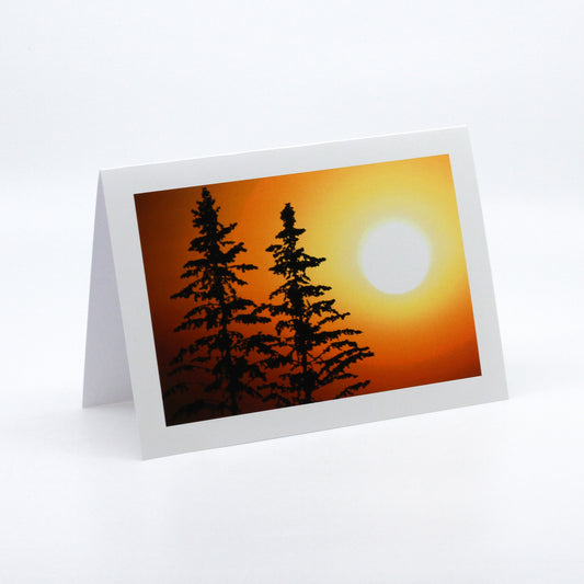 Photograph of sunset and trees silhouette 