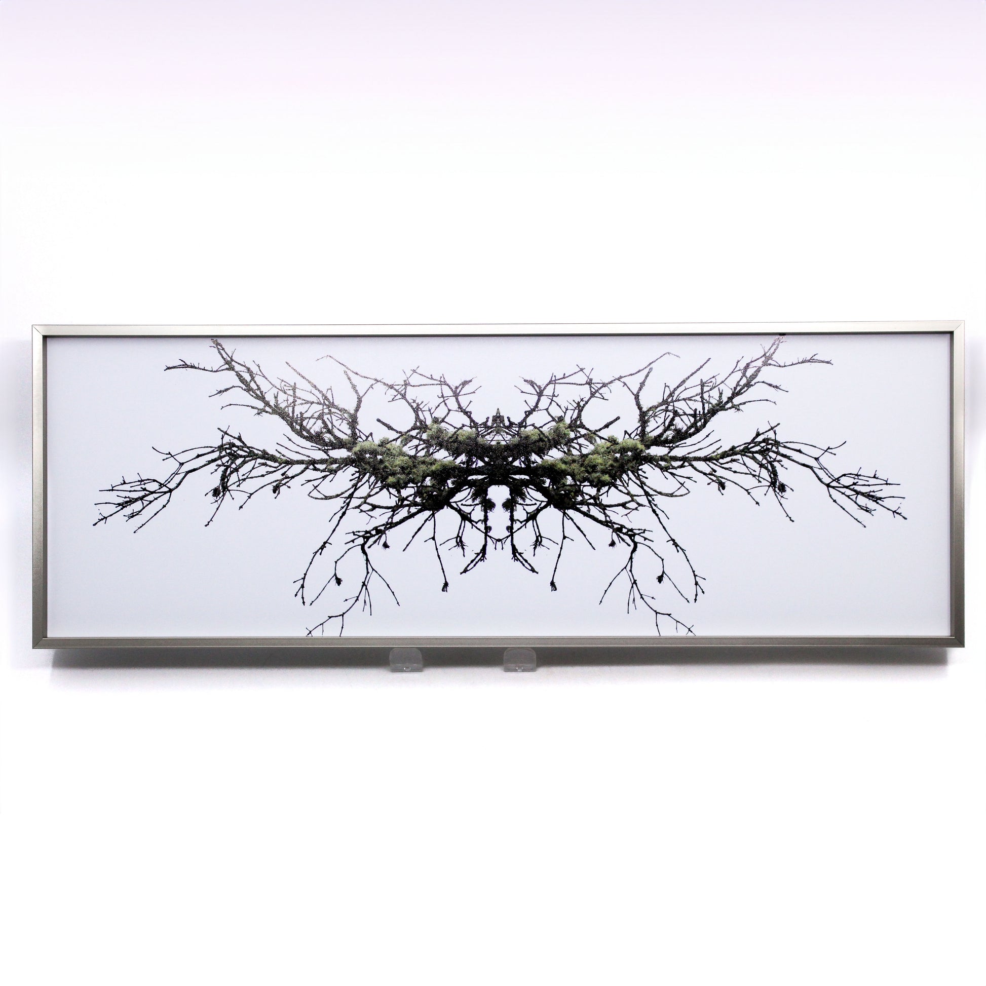 Framed photograph of abstract tree branches