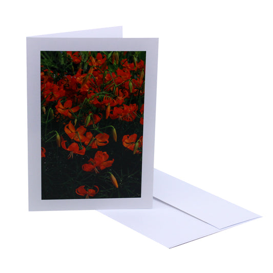 Lilies - Art Card